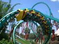 Reisetipp Busch Gardens